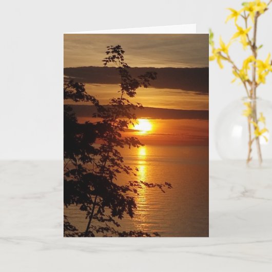 Carte Vide (Fleur jaune)