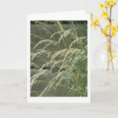 Carte vide (Fleur jaune)
