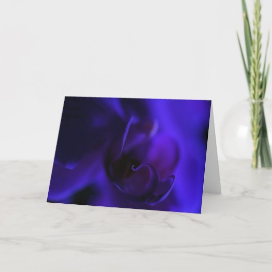 Carte Vide Royal Blue Orchid, Exotic Floral (Devant)