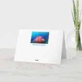 Carte Vie marine tropicale Corail anémoné rose (Dos)