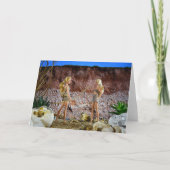 Carte Vie préhistorique. (Devant)