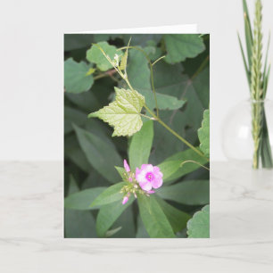 Carte Vie simple ... N'est pas une simple citation de fl