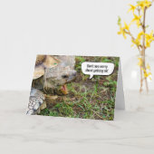 Carte Vieille Tortue Vieille Anniversaire (Fleur jaune)
