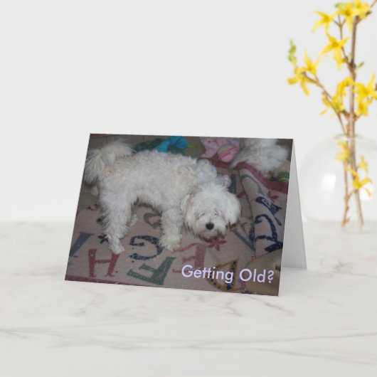 Carte Vieillir ? (Fleur jaune)