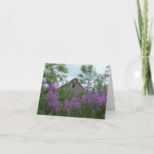 Carte Vielle Grange Qui Me Regarde De Retour Sur Phlox