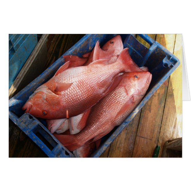 Carte vierge avec Arrière - plan Red Snapper (Devant Horizontal)