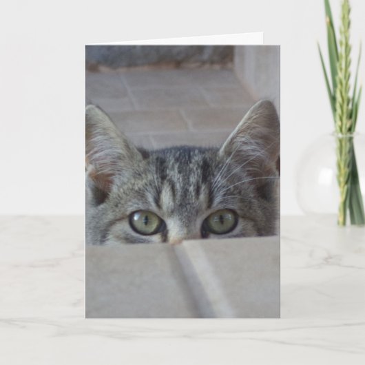Carte vierge avec chaton peek-a-boo (Devant)