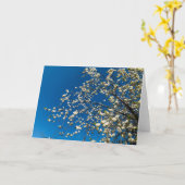 Carte vierge avec l'image de l'arbre en fleurs (Fleur jaune)