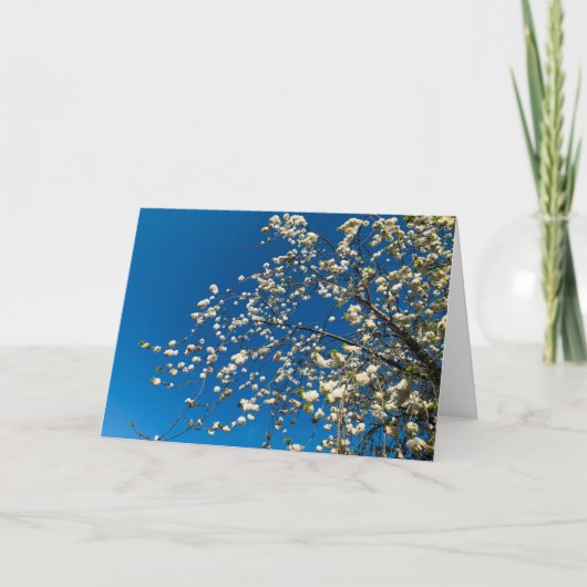 Carte vierge avec l'image de l'arbre en fleurs (Devant)