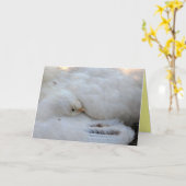 Carte vierge avec verso (Fleur jaune)