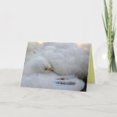 Carte vierge avec verso (Devant)