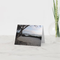 Carte vierge calme de Carmel