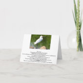 Carte vierge, canetons (Dos)