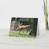 Carte vierge, Cerf de Bébé (Dos)