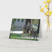 Carte vierge, Cerf de Bébé (Fleur jaune)