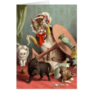 Carte vierge - chaos de chat