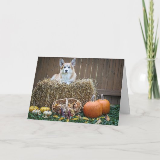 Carte vierge Corgi d'automne/Halloween (Devant)