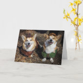 Carte vierge Corgi Robin des Bois (Fleur jaune)