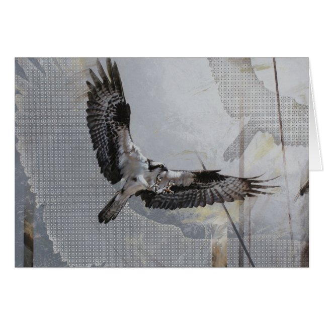 Carte vierge de balbuzard par Andrew Denman (Devant horizontal)