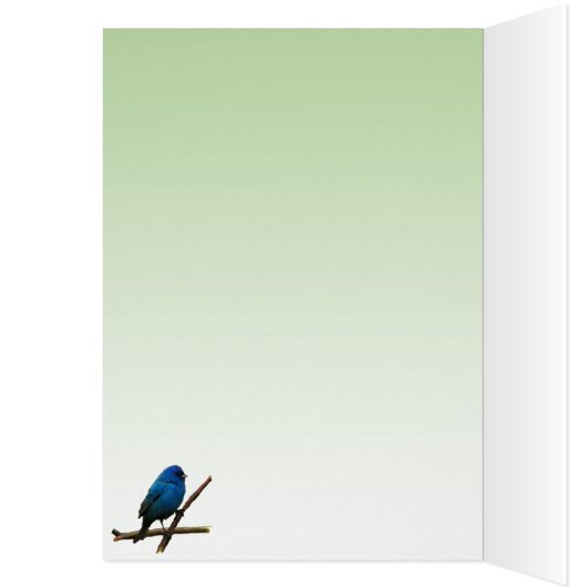 Carte vierge de Bungo (Intérieur (Gauche))