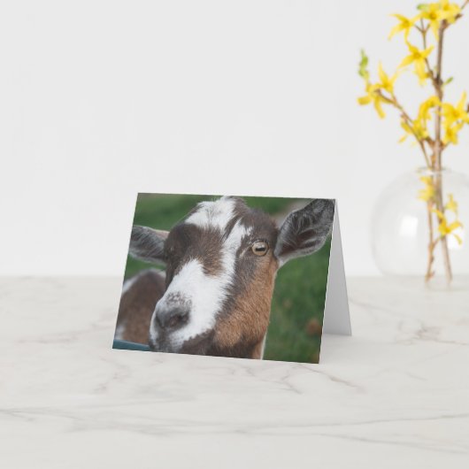 Carte vierge de chèvre (Fleur jaune)