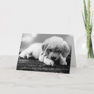 Carte vierge de chiot noir et blanc