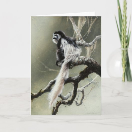 Carte vierge de Colobus par Andrew Denman (Devant)