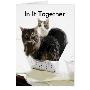 carte vierge de conception de chat dans elle