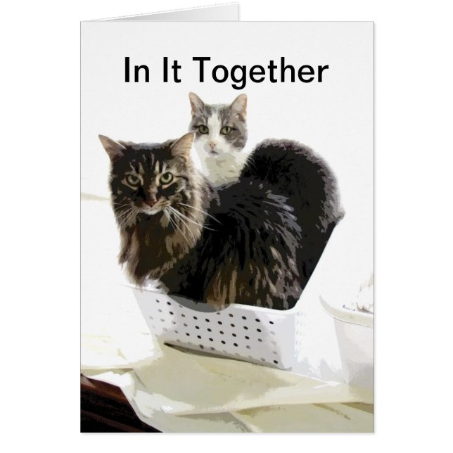 carte vierge de conception de chat dans elle (Devant)