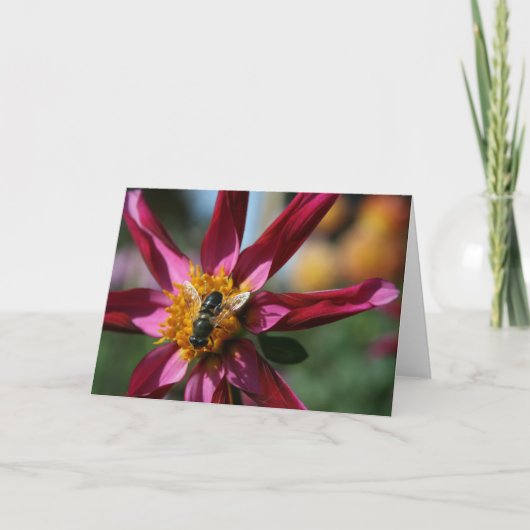 Carte vierge de dahlia et d'abeille (Devant)