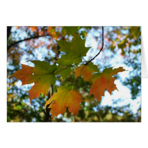 Carte vierge de feuille d'érable