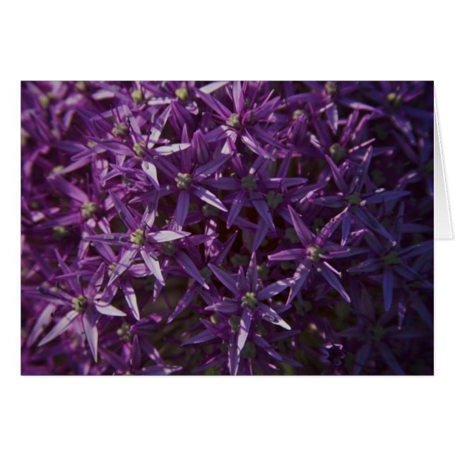 Carte vierge de fleur florale pourpre (Devant horizontal)