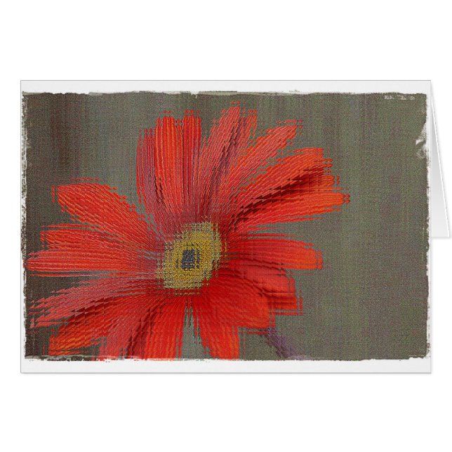 Carte vierge de Gerbera orange (Devant horizontal)