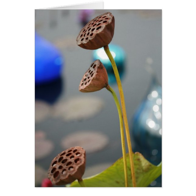 Carte vierge de l'eau flowers2 (Devant)