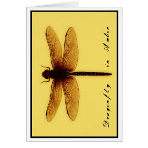 Carte vierge de libellule