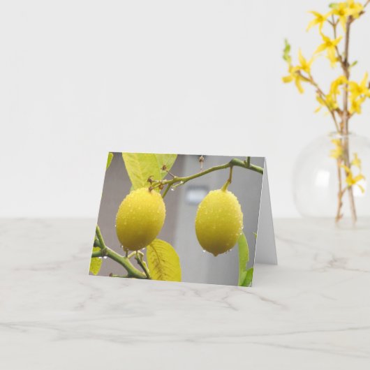 Carte vierge de note -- Citrons (Fleur jaune)