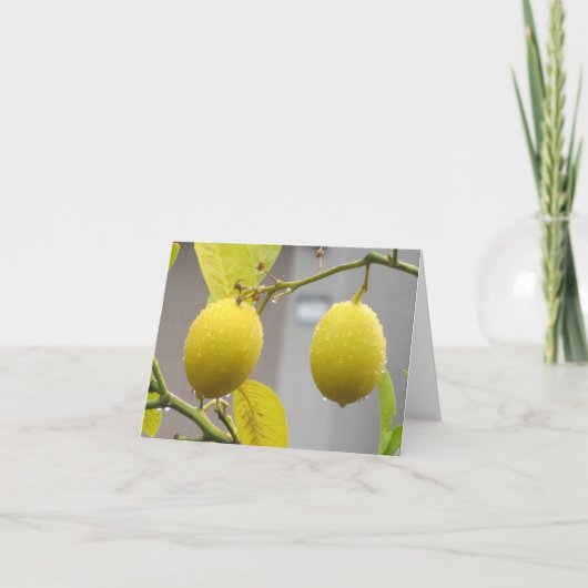 Carte vierge de note -- Citrons (Devant)
