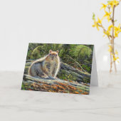 Carte vierge de note de "charpentier" (Fleur jaune)