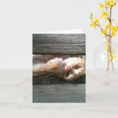 carte vierge de note de chat (Fleur jaune)