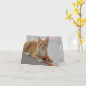 Carte vierge de note de chaton par le foyer pour (Fleur jaune)