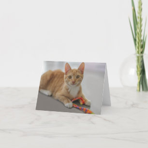 Carte vierge de note de chaton par le foyer pour