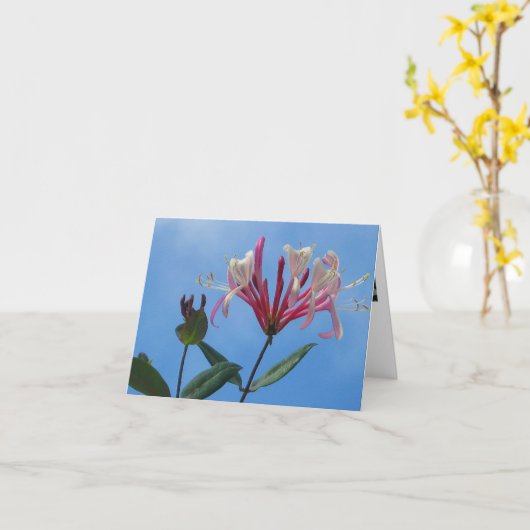 Carte vierge de note de chèvrefeuille (Fleur jaune)