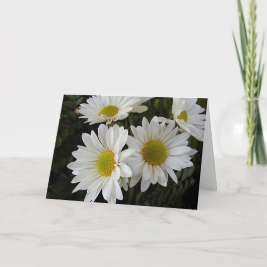 Carte vierge de note de marguerites blanches et (Devant)