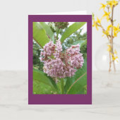 Carte vierge de note de Milkweed (Fleur jaune)