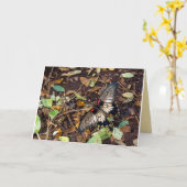 Carte vierge de note de papillon (Fleur jaune)