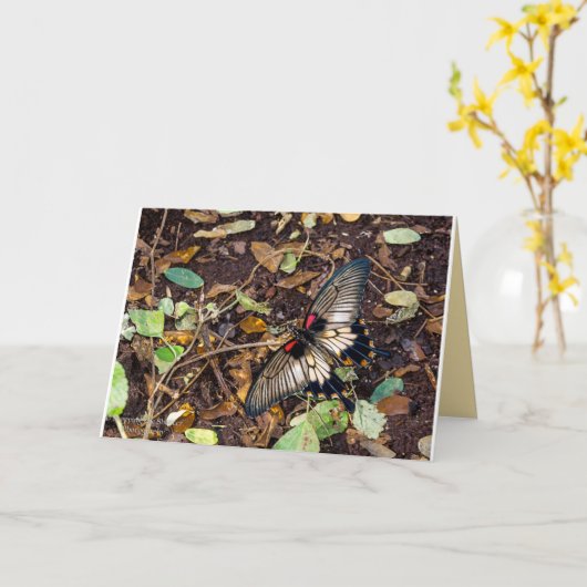 Carte vierge de note de papillon (Fleur jaune)