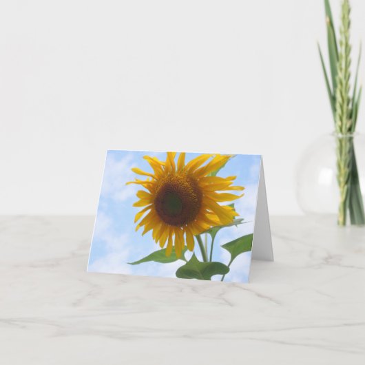 Carte vierge de note de tournesol (Devant)
