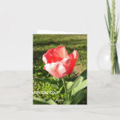 CARTE VIERGE DE NOTE DE TULIPE (Dos)