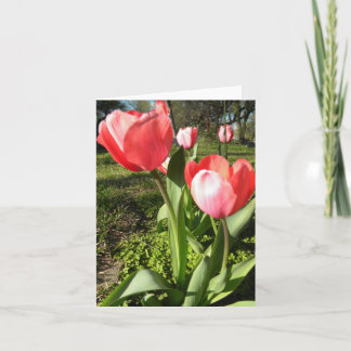 CARTE VIERGE DE NOTE DE TULIPE