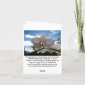 Carte vierge de note, gloire de matin (Dos)